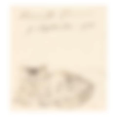 A Pussycat (preview)