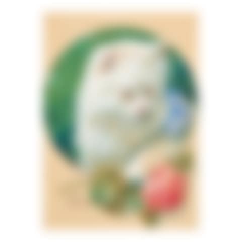 The Little White Kitten (preview)