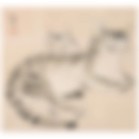 Chat et chaton (preview)
