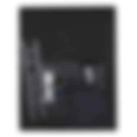 TWO HANDBAGS, TWO LADDERS (preview)