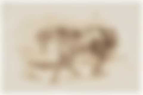 Cheval en liberté (preview)
