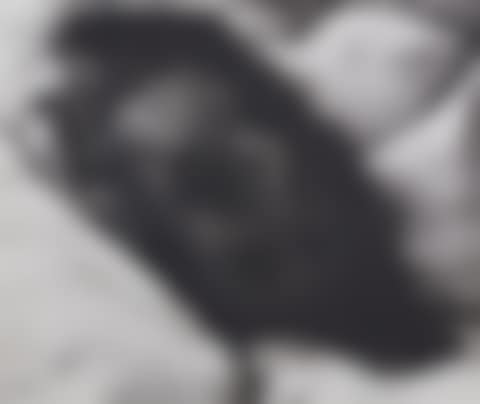 Totengesichter (preview)