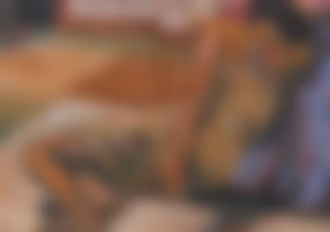 Liggende vrouw (preview)