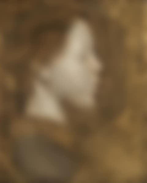 Portrait de femme de profil (Nelly Carrière) (preview)