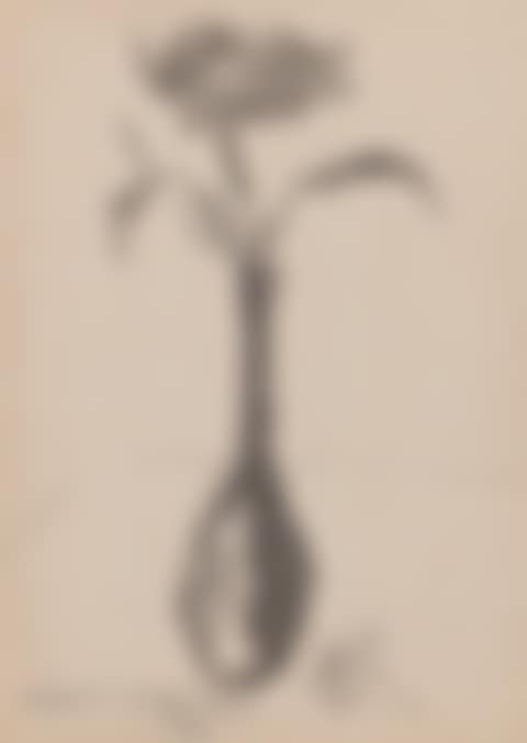 Still Life (preview)