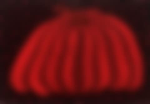 Pumpkin (A.B) (preview)