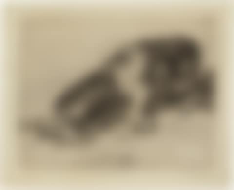 Fiero Monstruo! (preview)