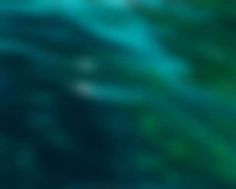Marea (preview)