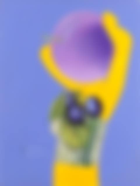 Plum brandy (preview)