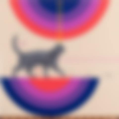 Intuition (preview)