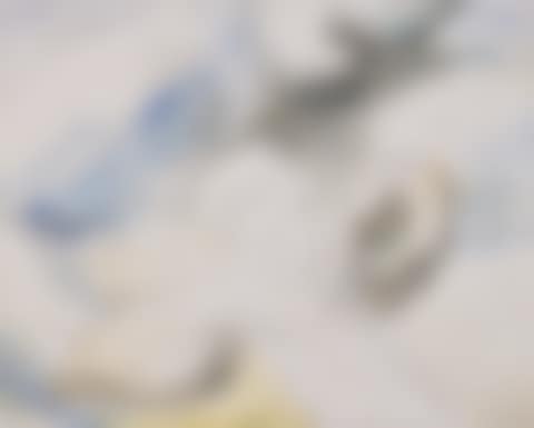 The Hands and the Arm (preview)