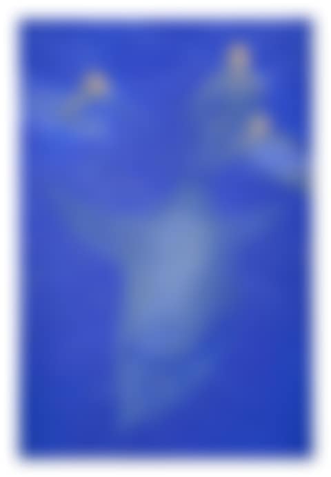Untitled (preview)
