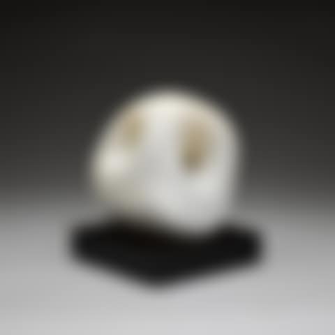 Small Form (Amulet) (preview)
