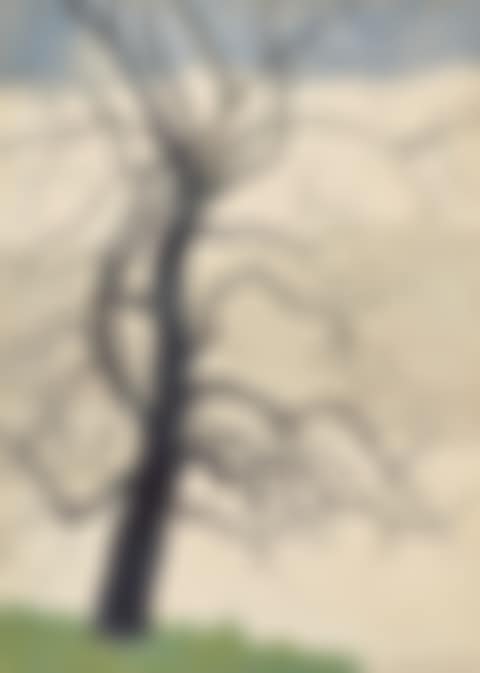 Arbre solitaire au bord de l"étang (preview)