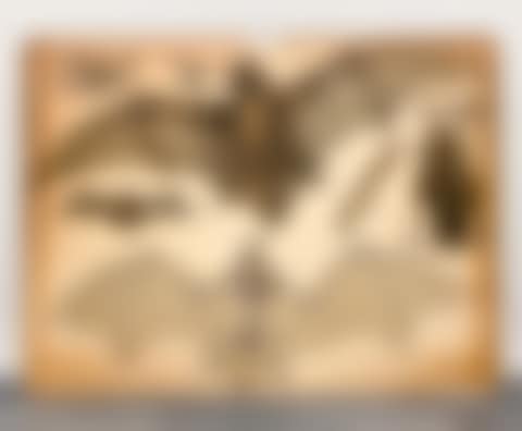 Zoological anatomy plate of a bat (preview)