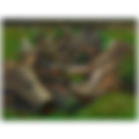 Stumps (preview)