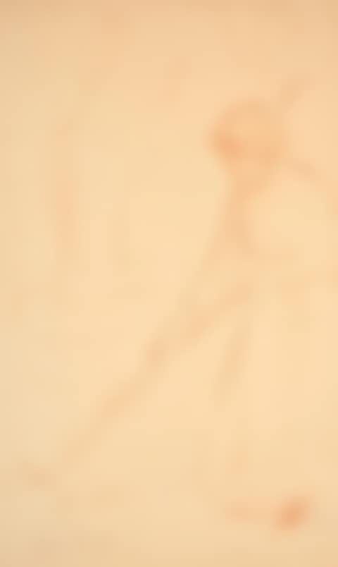La Faneuse (preview)