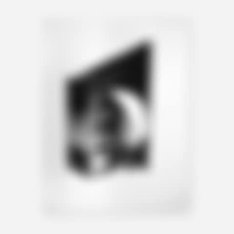 Untitled (from the Facade portfolio) (preview)