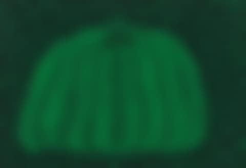 Pumpkin (G) (preview)