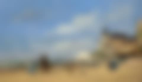La plage de Trouville (preview)