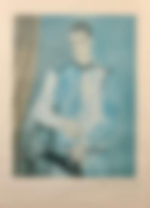Harlequin (Barcelona Series) (preview)