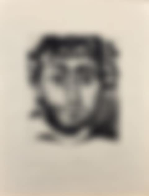 Wildlife Head (preview)