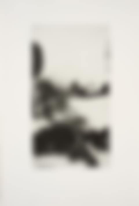 306 (preview)