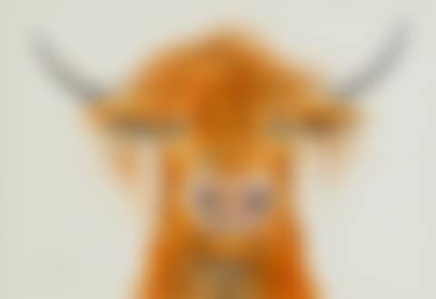 HORATIO (preview)