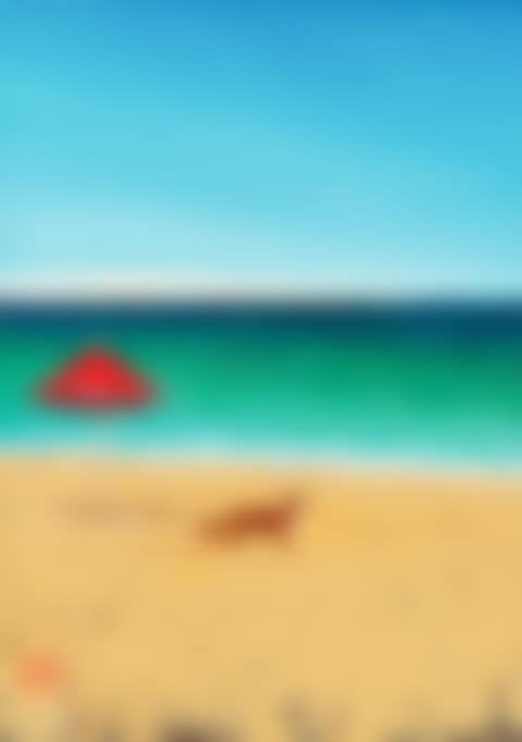FOX ON THE BEACH (preview)
