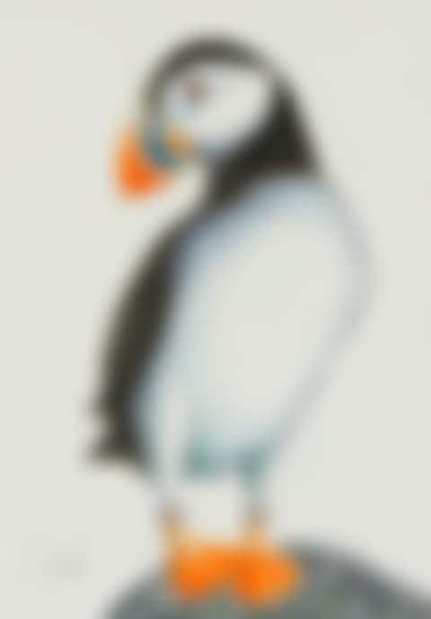 PERCHED PUFFIN (preview)
