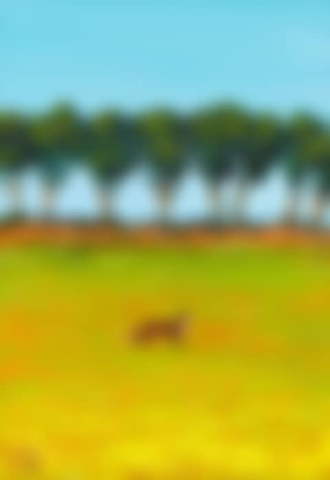 FOX BY A ROW OF TREES (preview)