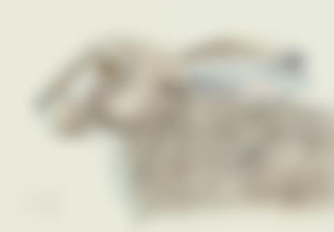 BRIGHT EYES (preview)