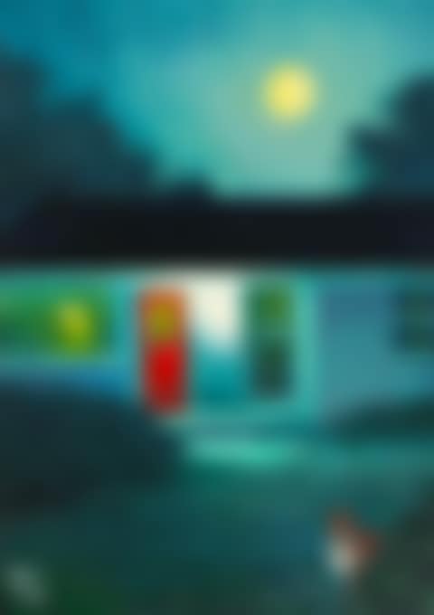 MIDNIGHT FOX (preview)
