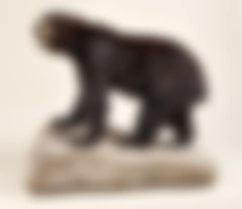 OURS BARIBAL juvénile taxidermisé en entier en position de marche. Présenté sur un socle imitant le rocher (monté sur roulettes). Di... (preview)