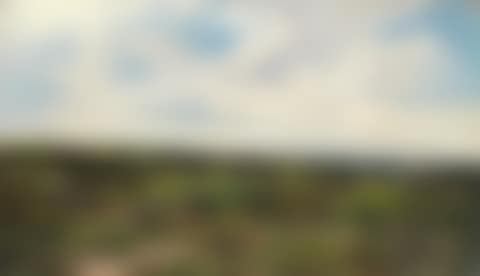 'On Wimbledon Common'  unframed (preview)