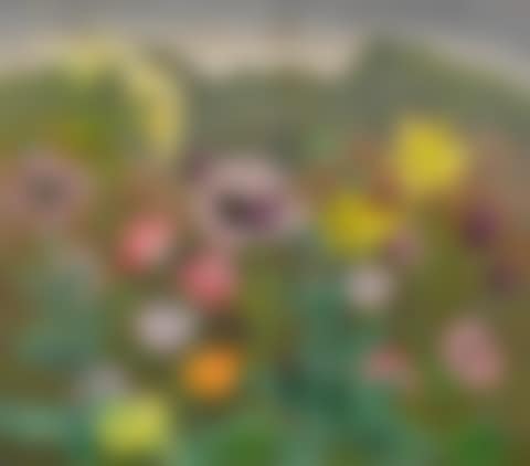 Lilies and Poppies against a Mountain Range (preview)