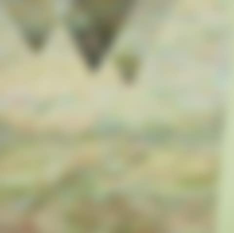 Panch Kanya II (preview)