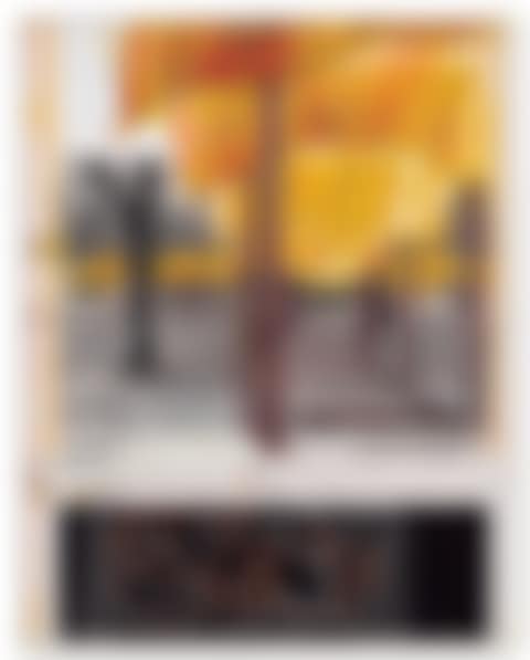 The Gates (Project for Central Park, N.Y.C.) (preview)