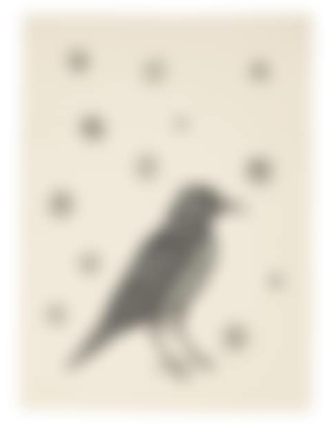 Bird with Stars (preview)