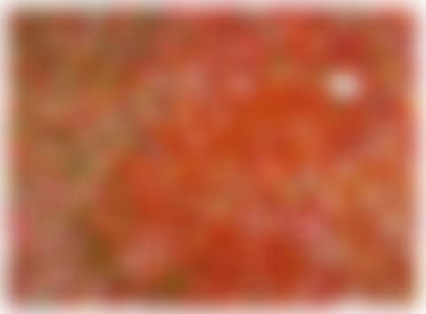 Ryoanji (H4-7), from Veils (preview)