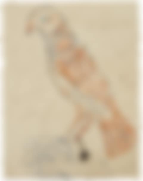Parrot (preview)