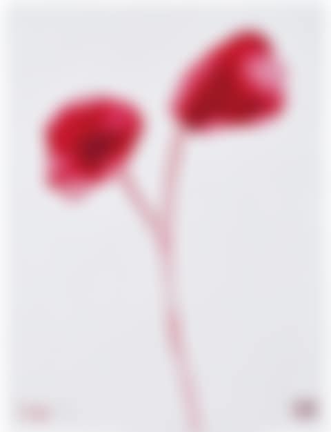 I Do (MoMA 226) (preview)