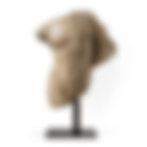 A Roman Marble Torso of a Youth  circa 2nd century A.D. (preview)