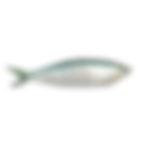 Sardine cushion (preview)