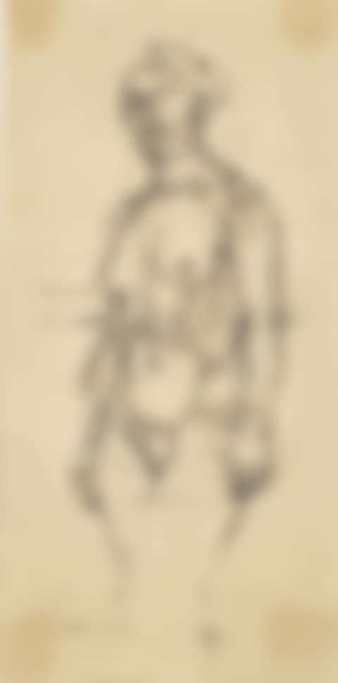 Figure Study; and Head Study (preview)