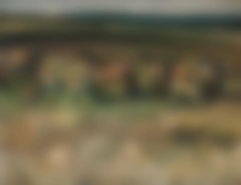 Ponies on Withypool Common, Exmoor (preview)