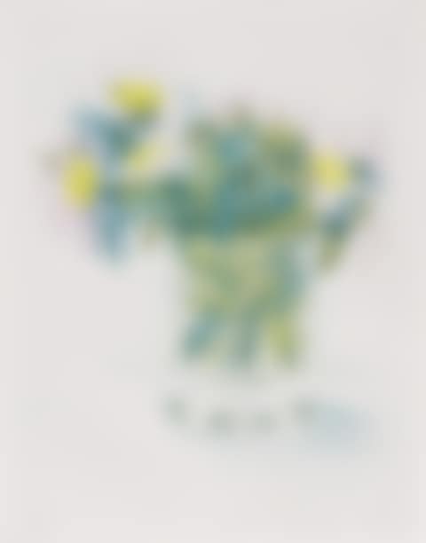 Marguerites (Scottish Arts Council 157; Museum of Contemporary Art Tokyo 141) (preview)