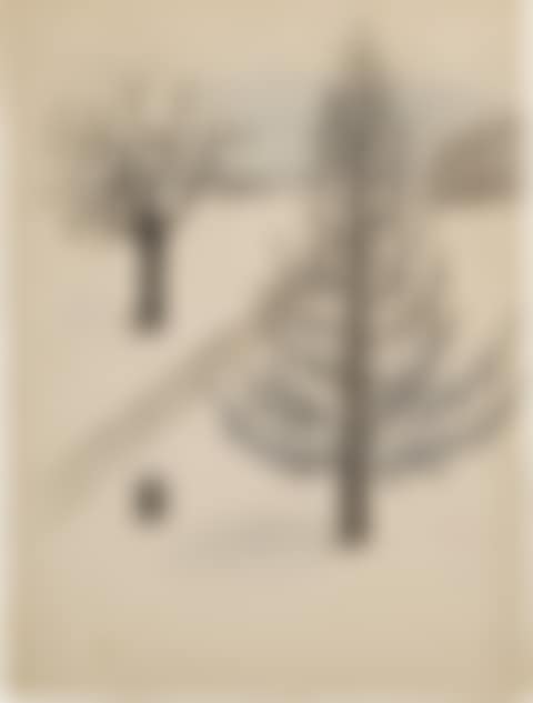 Trees in Snow (preview)