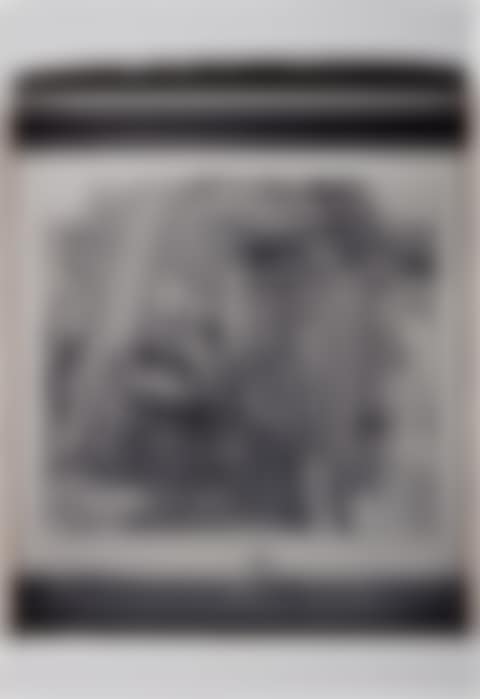 Untitled (preview)