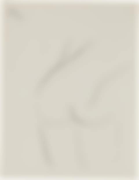 Untitled (Nude) (preview)